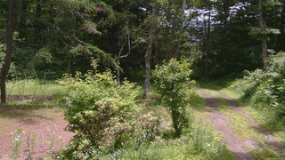 長野県菅平高原 ゆたか山荘 坂上 2026/07/07 11:15