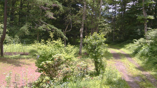 長野県菅平高原 ゆたか山荘 坂上 2026/07/07 11:30