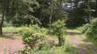 長野県菅平高原 ゆたか山荘 坂上 2026/07/07 11:45