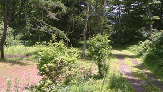 長野県菅平高原 ゆたか山荘 坂上 2026/07/07 12:00
