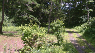 長野県菅平高原 ゆたか山荘 坂上 2026/07/07 12:15