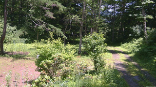 長野県菅平高原 ゆたか山荘 坂上 2026/07/07 12:30