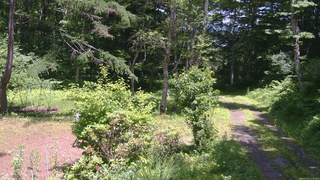 長野県菅平高原 ゆたか山荘 坂上 2026/07/07 12:45