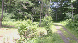 長野県菅平高原 ゆたか山荘 坂上 2026/07/07 13:00