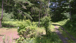 長野県菅平高原 ゆたか山荘 坂上 2026/07/07 13:15