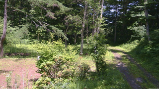 長野県菅平高原 ゆたか山荘 坂上 2026/07/07 13:30
