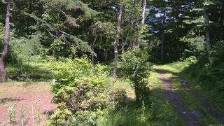 長野県菅平高原 ゆたか山荘 坂上 2026/07/07 13:45