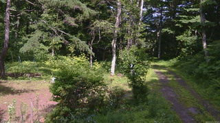 長野県菅平高原 ゆたか山荘 坂上 2026/07/07 14:30