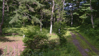 長野県菅平高原 ゆたか山荘 坂上 2026/07/07 14:45