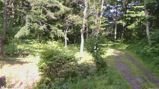 長野県菅平高原 ゆたか山荘 坂上 2026/07/07 15:00