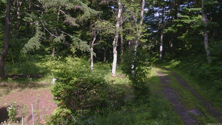 長野県菅平高原 ゆたか山荘 坂上 2026/07/07 15:15