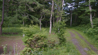 長野県菅平高原 ゆたか山荘 坂上 2026/07/07 15:30