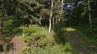 長野県菅平高原 ゆたか山荘 坂上 2026/07/07 16:00
