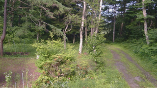 長野県菅平高原 ゆたか山荘 坂上 2026/07/07 16:15