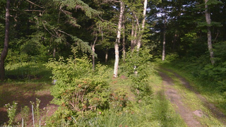 長野県菅平高原 ゆたか山荘 坂上 2026/07/07 16:45