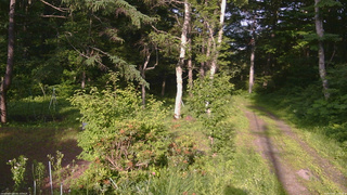 長野県菅平高原 ゆたか山荘 坂上 2026/07/07 17:00