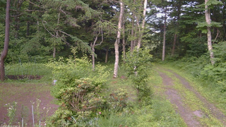 長野県菅平高原 ゆたか山荘 坂上 2026/07/07 17:15