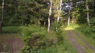 長野県菅平高原 ゆたか山荘 坂上 2026/07/07 17:30