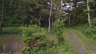 長野県菅平高原 ゆたか山荘 坂上 2026/07/07 18:00
