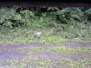 長野県菅平高原 ゆたか山荘 東側(坂下) 2026/07/08 13:00