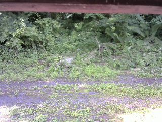 長野県菅平高原 ゆたか山荘 東側(坂下) 2026/07/08 14:00