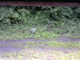 長野県菅平高原 ゆたか山荘 東側(坂下) 2026/07/08 14:45