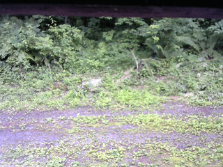 長野県菅平高原 ゆたか山荘 東側(坂下) 2026/07/08 16:00
