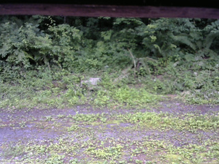 長野県菅平高原 ゆたか山荘 東側(坂下) 2026/07/08 18:15