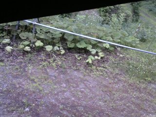 長野県菅平高原 ゆたか山荘 駐車場 2026/07/08 05:00