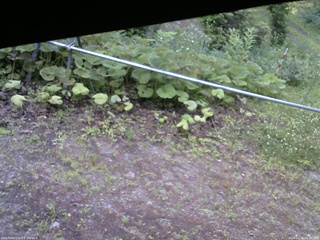 長野県菅平高原 ゆたか山荘 駐車場 2026/07/08 05:30