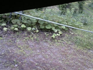 長野県菅平高原 ゆたか山荘 駐車場 2026/07/08 05:45