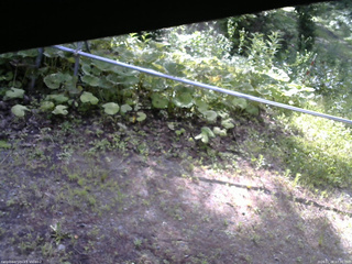 長野県菅平高原 ゆたか山荘 駐車場 2026/07/08 07:30