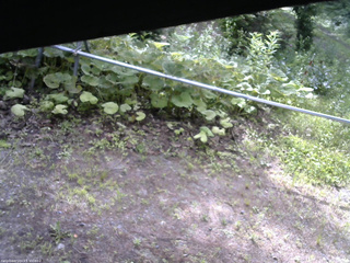 長野県菅平高原 ゆたか山荘 駐車場 2026/07/08 07:45