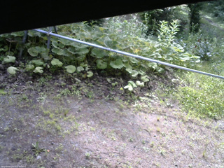 長野県菅平高原 ゆたか山荘 駐車場 2026/07/08 08:00