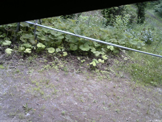 長野県菅平高原 ゆたか山荘 駐車場 2026/07/08 09:45