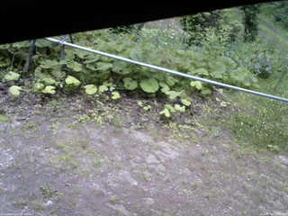 長野県菅平高原 ゆたか山荘 駐車場 2026/07/08 11:15