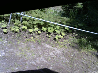 長野県菅平高原 ゆたか山荘 駐車場 2026/07/08 14:30