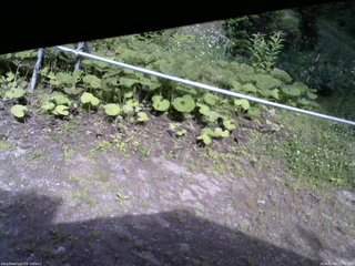 長野県菅平高原 ゆたか山荘 駐車場 2026/07/08 15:00