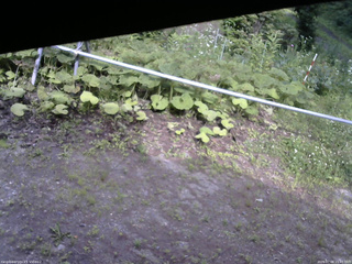 長野県菅平高原 ゆたか山荘 駐車場 2026/07/08 15:45