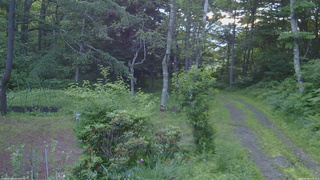 長野県菅平高原 ゆたか山荘 坂上 2026/07/08 05:00