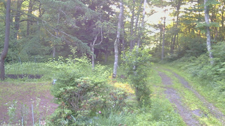 長野県菅平高原 ゆたか山荘 坂上 2026/07/08 05:15