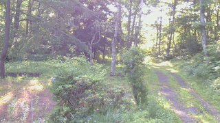 長野県菅平高原 ゆたか山荘 坂上 2026/07/08 06:15