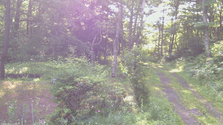 長野県菅平高原 ゆたか山荘 坂上 2026/07/08 06:30