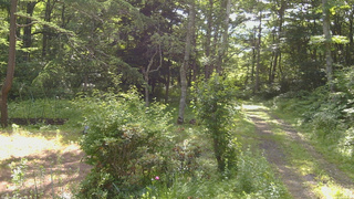 長野県菅平高原 ゆたか山荘 坂上 2026/07/08 08:15