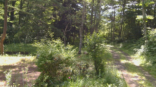 長野県菅平高原 ゆたか山荘 坂上 2026/07/08 08:45