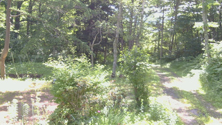 長野県菅平高原 ゆたか山荘 坂上 2026/07/08 09:00