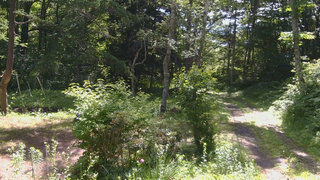 長野県菅平高原 ゆたか山荘 坂上 2026/07/08 09:15