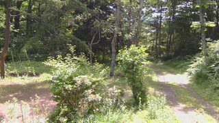 長野県菅平高原 ゆたか山荘 坂上 2026/07/08 09:30