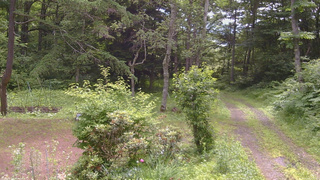 長野県菅平高原 ゆたか山荘 坂上 2026/07/08 09:45