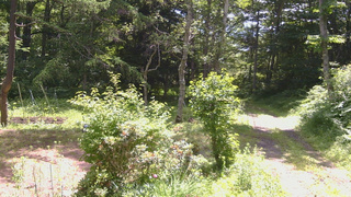 長野県菅平高原 ゆたか山荘 坂上 2026/07/08 10:00